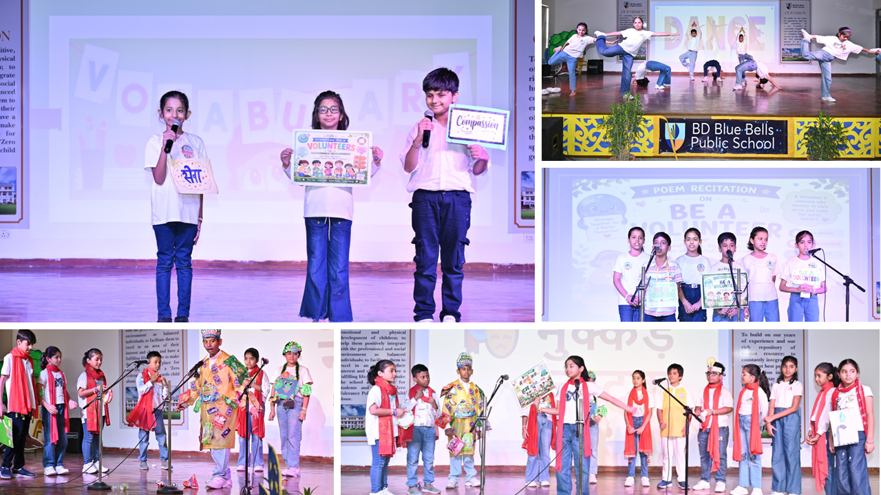 international-year-of-volunteers-for-sustainable-development-2026